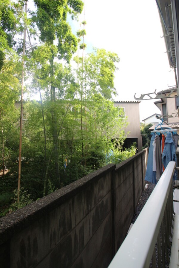 室内からの展望