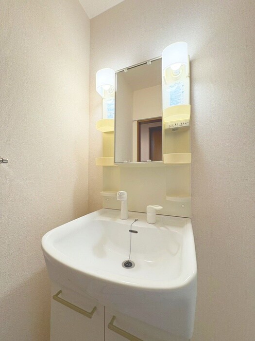 物件内観写真9　(洗面)