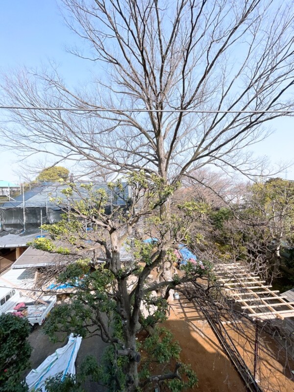 室内からの展望