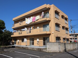 ガ－デンハイム綱島外観写真
