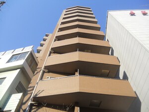 ｽﾃｰｼﾞﾌｧｰｽﾄ白山(203)外観写真