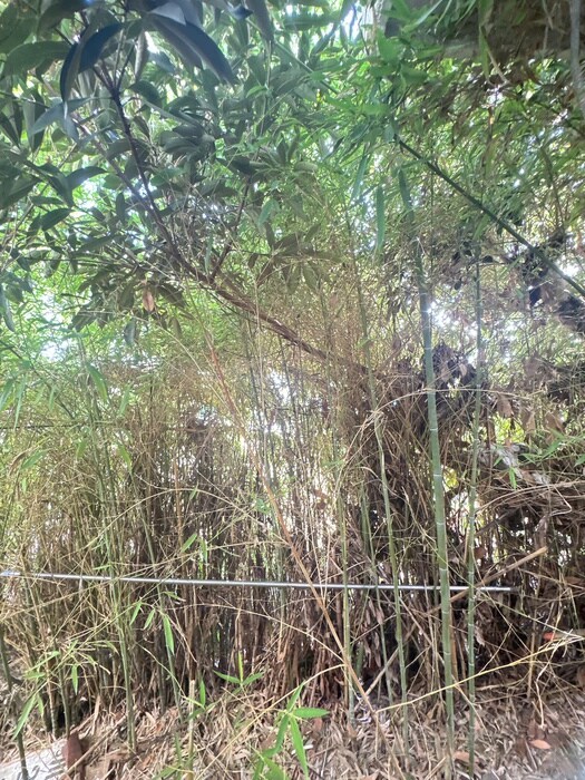 物件内観写真21　(室内からの展望)