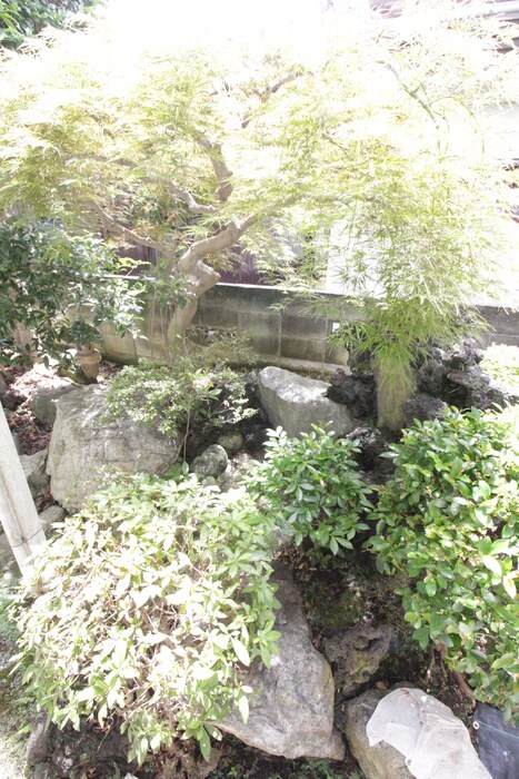 物件内観写真15　(ベランダ・バルコニー)