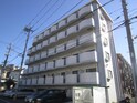 ﾎｰﾕｳｺﾝﾌｫﾙﾄﾚﾃﾞｨｰｽ白楽(606)