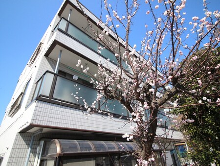 田辺マンション外観写真