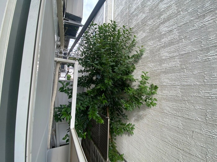 物件内観写真14　(ベランダ・バルコニー)