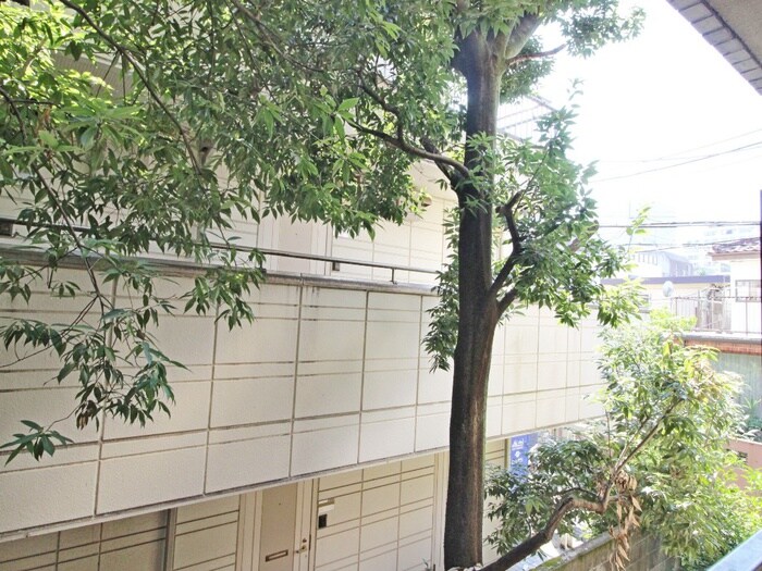 物件内観写真16　(室内からの展望)