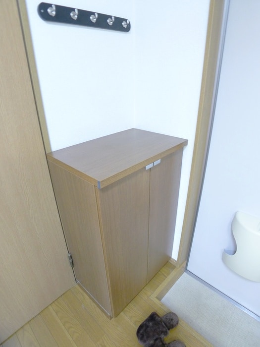 物件内観写真13　(靴箱)