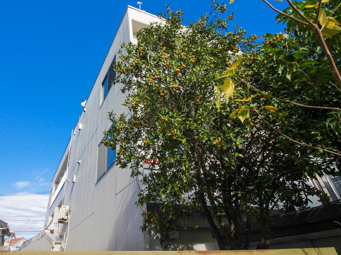 物件外観写真5　(外観写真)