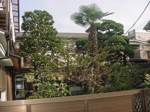 田端ハイツ外観写真
