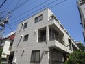 キャベッジホワイト