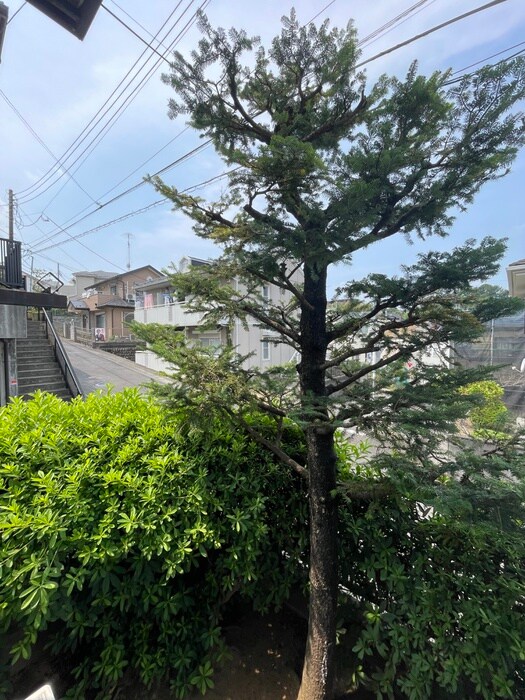 物件内観写真15　(室内からの展望)