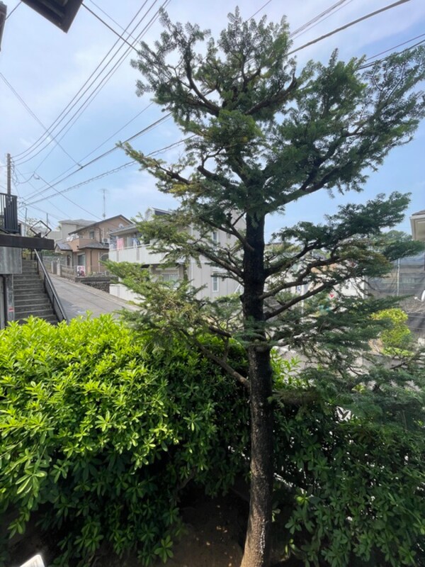 室内からの展望