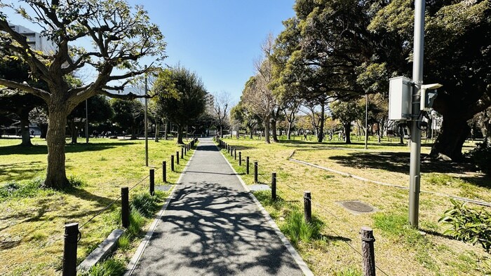 物件外観写真6　(周辺環境)