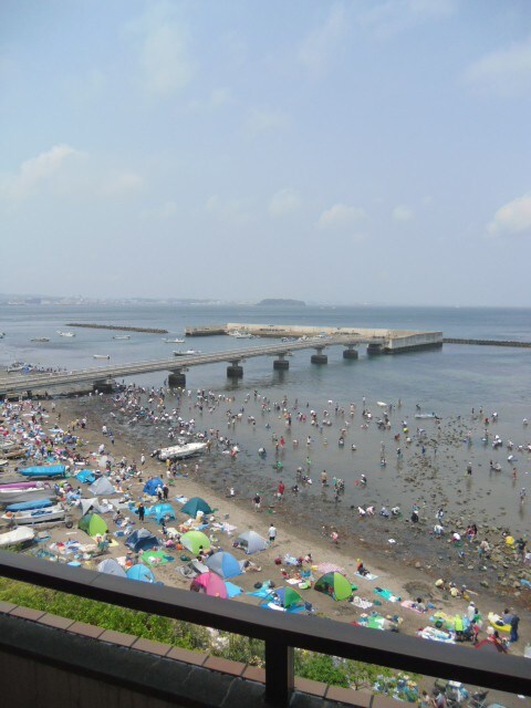 物件内観写真16　(室内からの展望)