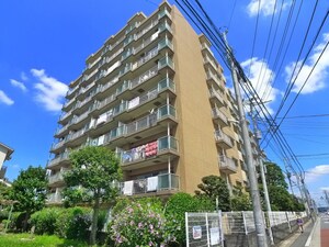 エクセル市川（303）外観写真