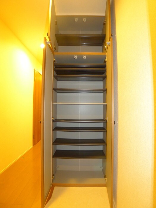 物件内観写真16　(靴箱)