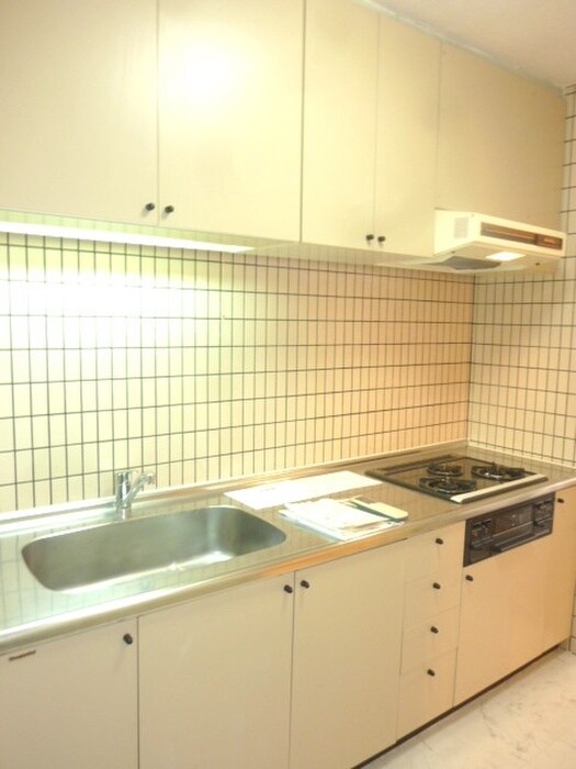 物件内観写真11　(キッチン)