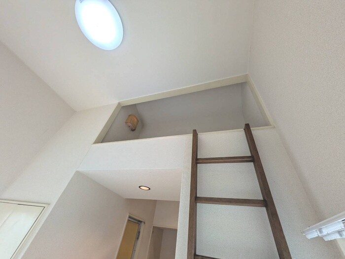 物件内観写真11　(ロフト)