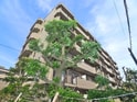 T`s garden西船橋