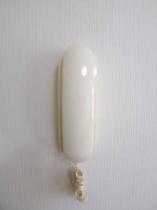 物件内観写真15　(廊下)