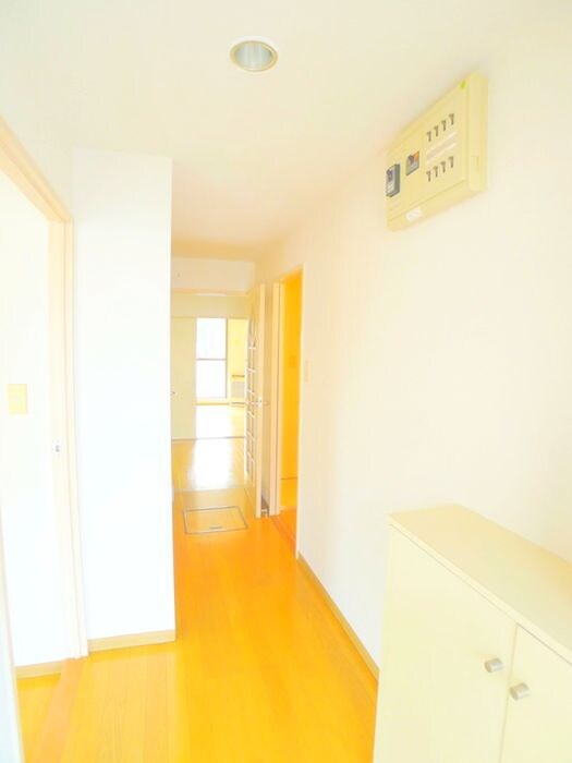 物件内観写真18　(靴箱)