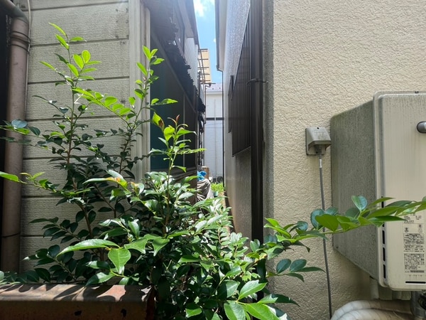 周辺環境
