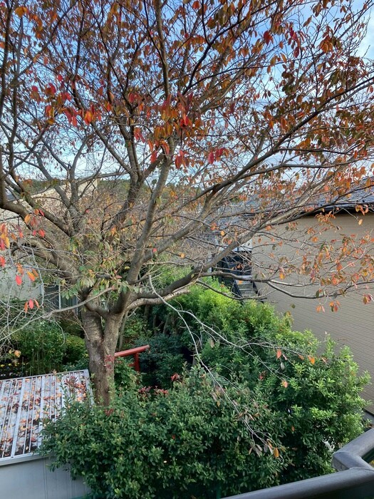 物件内観写真16　(室内からの展望)