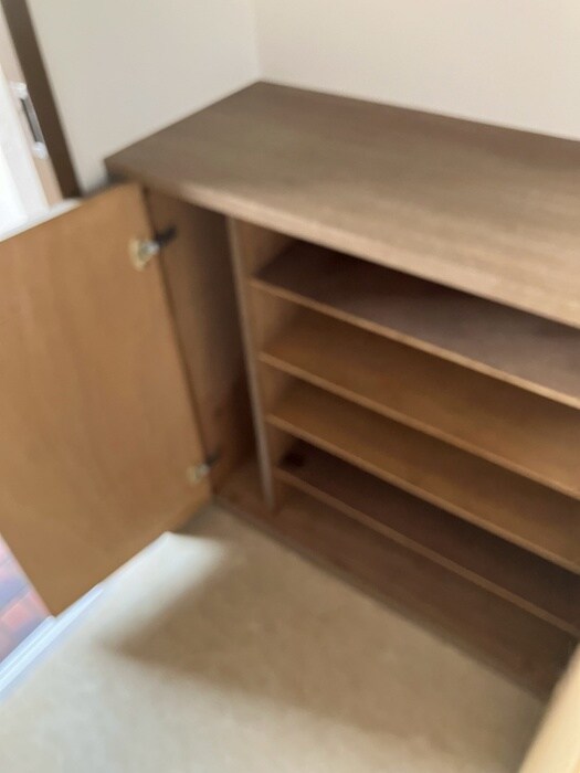 物件内観写真22　(靴箱)