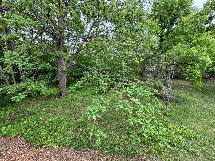 物件内観写真22　(室内からの展望)