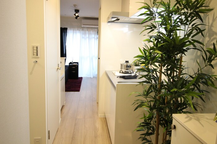 物件内観写真15　(廊下)