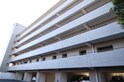 ﾘﾊﾞｰｻｲﾄﾞﾜｶﾔｷﾞﾏﾝｼｮﾝ（207）