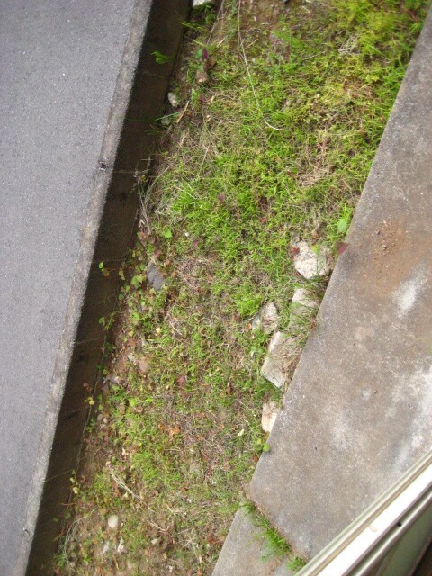 物件内観写真13　(室内からの展望)