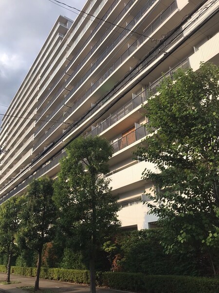ローレルコート南浦和（817）外観写真