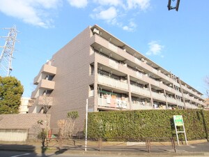 セントエルモ宮前平（509）外観写真
