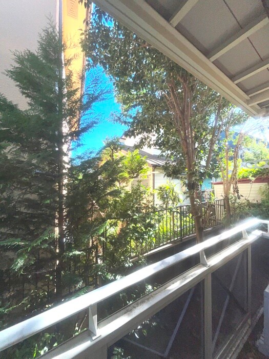 物件内観写真17　(室内からの展望)