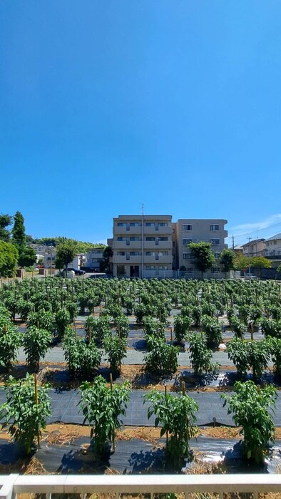 物件内観写真15　(室内からの展望)