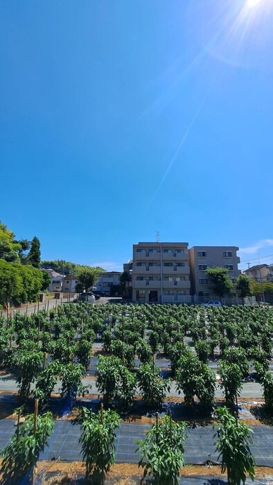 物件内観写真16　(室内からの展望)