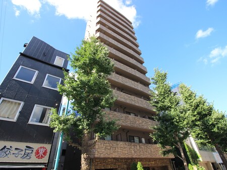 ﾄｰｼﾝﾌｪﾆｯｸｽ目白弐番館(1302)外観写真