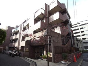 菱和パレス代々木公園(204)外観写真