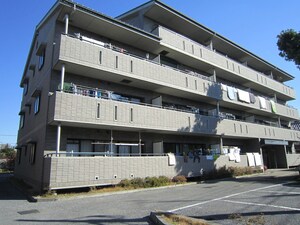 たぶの木の家外観写真
