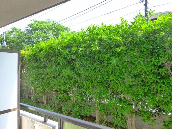 室内からの展望