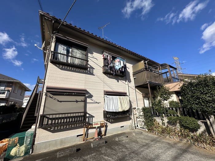 ロードサイドコスモス