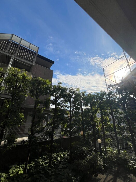 物件内観写真15　(室内からの展望)