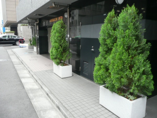エントランス部分