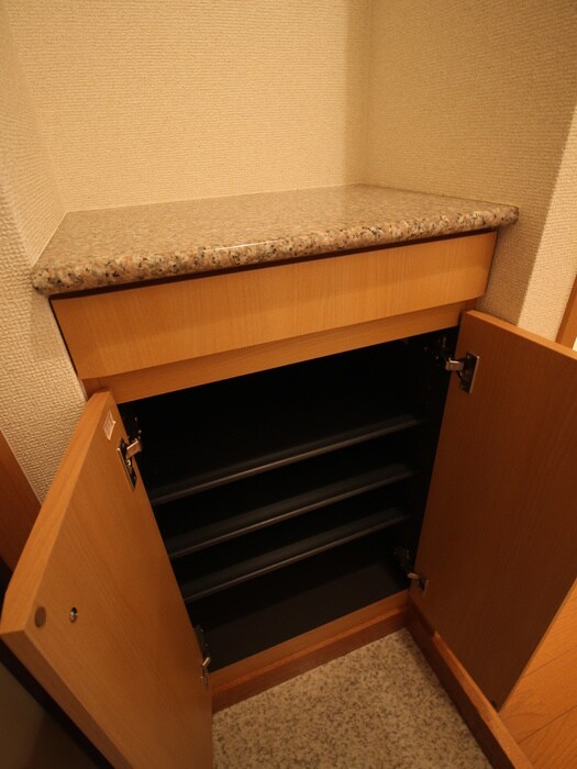 物件内観写真17　(靴箱)