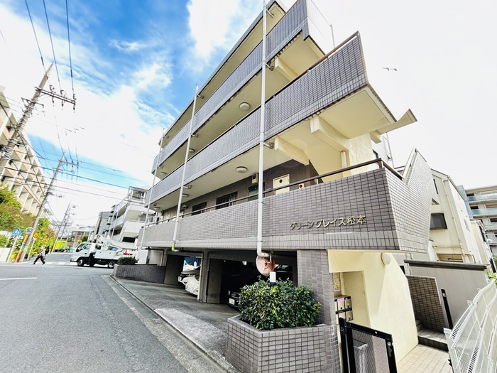 ｸﾞﾘ-ﾝｸﾞﾚｲｽ松本