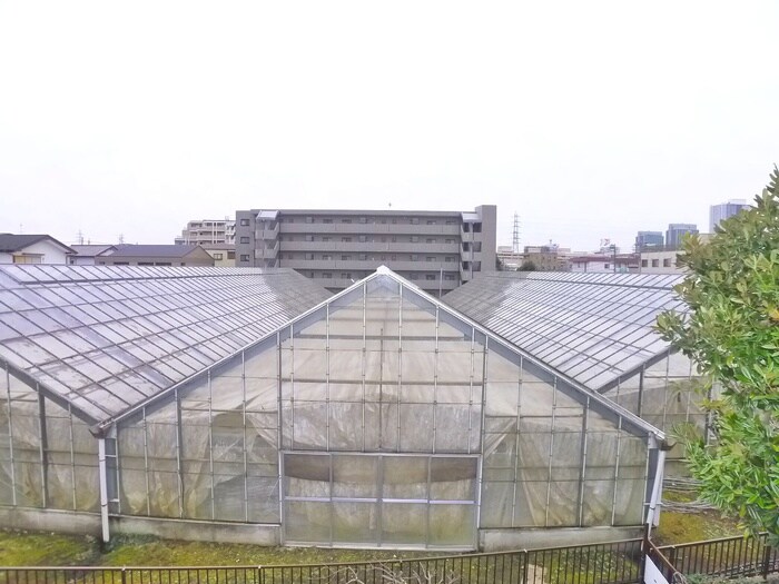 物件内観写真17　(室内からの展望)