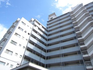 富士見台ﾌｧﾐﾘ-ﾏﾝｼｮﾝ(806)外観写真