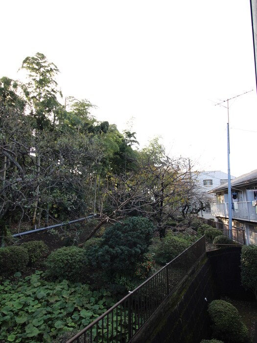 物件内観写真15　(室内からの展望)